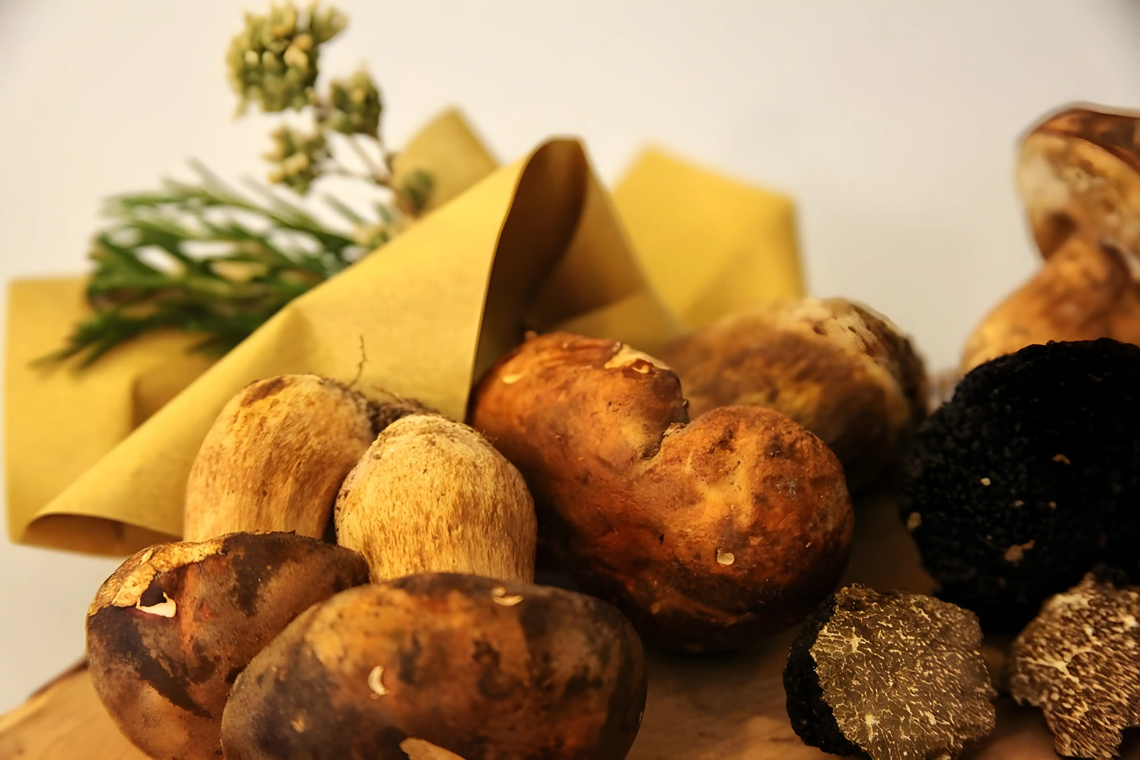 Funghi e tartufi freschi